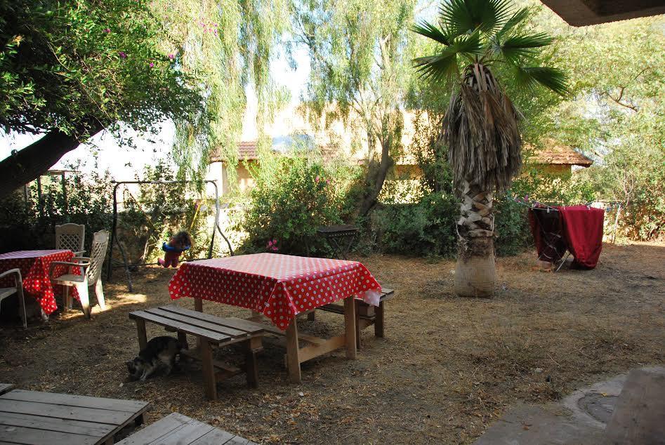 Lesanel - Guest House Arad Dış mekan fotoğraf